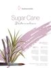 Hahnemuhle Sugar Cane