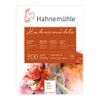 Hahnemuhle 300 Cold Pressed 300g