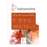 Hahnemuhle 300 Cold Pressed 300g