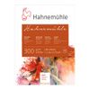Hahnemuhle 300 Cold Pressed 300g