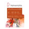 Hahnemuhle 300 Cold Pressed 300g