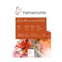 Hahnemuhle 300 Cold Pressed 300g
