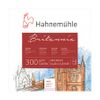 Hahnemuhle Britannia CP 300g