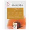 Hahnemuhle Velour Coloured Pastellpapper Block