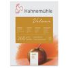Hahnemuhle Velour White Pastellpapper Block