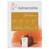 Hahnemuhle Velour White Pastellpapper Block