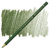 Färgpenna Faber Castell Polychromos Permanent Green Olive