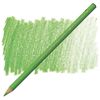 Färgpenna Faber Castell Polychromos Grass Green