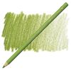 Färgpenna Faber Castell Polychromos Earth Green Yellowish