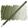 Färgpenna Faber Castell Polychromos Olive Green Yellowish