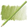 Färgpenna Faber Castell Polychromos May Green