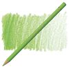 Färgpenna Faber Castell Polychromos Light Green