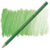 Färgpenna Faber Castell Polychromos Leaf Green