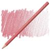 Färgpenna Faber Castell Polychromos Dark Flesh