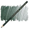 Färgpenna Faber Castell Polychromos Pine Green