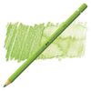 May Green Akvarellpenna Albrecht Durer Faber-Castell