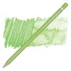 Light Green Akvarellpenna Albrecht Durer Faber-Castell