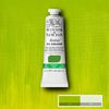 Winsor & Newton Artist Oljefärg - 897 Cadm. Free Green pale