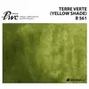 ShinHan Premium Akvarellfärg Terre Verte Yellow Shade