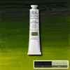 Winsor-Newton Artists Oil 200ml Sap Green 599