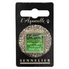 Sennelier Artist Akvarellfärg Hookers Green