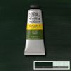 Winsor Newton Galeria Akrylfärg 447 Olive Green