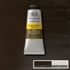 Winsor Newton Galeria Akrylf&auml;rg 554 Raw Umber