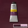 Winsor Newton Galeria Akrylfärg 075 Burgundy