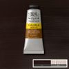 Winsor Newton Galeria Akrylfärg 076 Burnt Umber