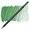 Caran dAche Museum Akvarellpenna Grass Green