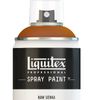 Liquitex Spray Paint Raw Sienna