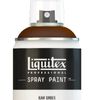 Liquitex Spray Paint Raw Umber