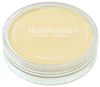 PanPastel Diarylide Yellow Tint