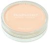 PanPastel Orange Tint