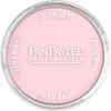 PanPastel Permanent Red Tint