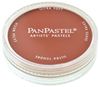 PanPastel Red Iron Oxide