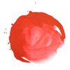 Liquitex Acrylic Ink Akrylfärg 294 Naphthol Red light