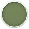 PanPastel Chromium Oxide Green Shade