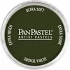 PanPastel Chromium Oxide Green Shade