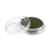 PanPastel Chromium Oxide Green Shade