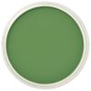 PanPastel Chromium Oxide Green