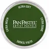 PanPastel Chromium Oxide Green
