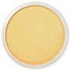 PanPastel Light Gold