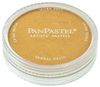 PanPastel Metallic Rich Gold