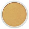 PanPastel Metallic Rich Gold