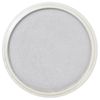 PanPastel Metallic Silver