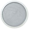 PanPastel Metallic Pewter
