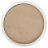 PanPastel Metallic Bronze