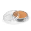 PanPastel Metallic Bronze