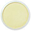 PanPastel Pearlescent Yellow